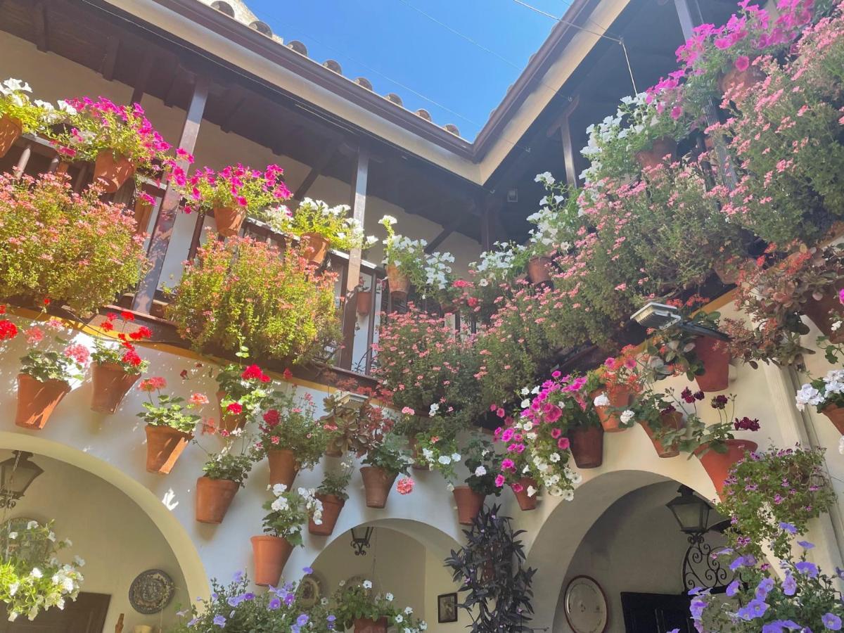 Apartamento La Estrella Córdoba Exteriör bild